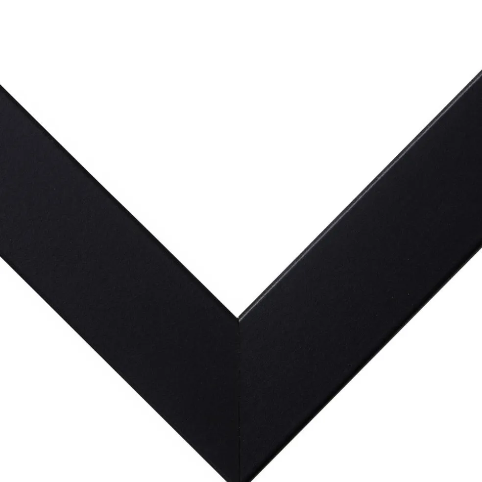 Craig Frames Essentials Modern Black Picture Frame with Mat