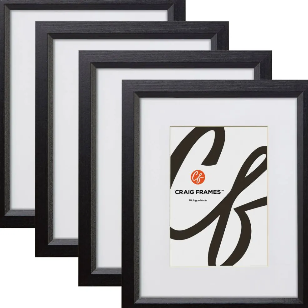 Craig Frames 4 Pack Economy Ebony Hardwood Picture Frame with Mat