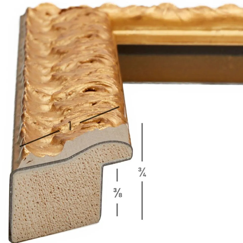 Craig Frames Versailles Gold Picture Frame