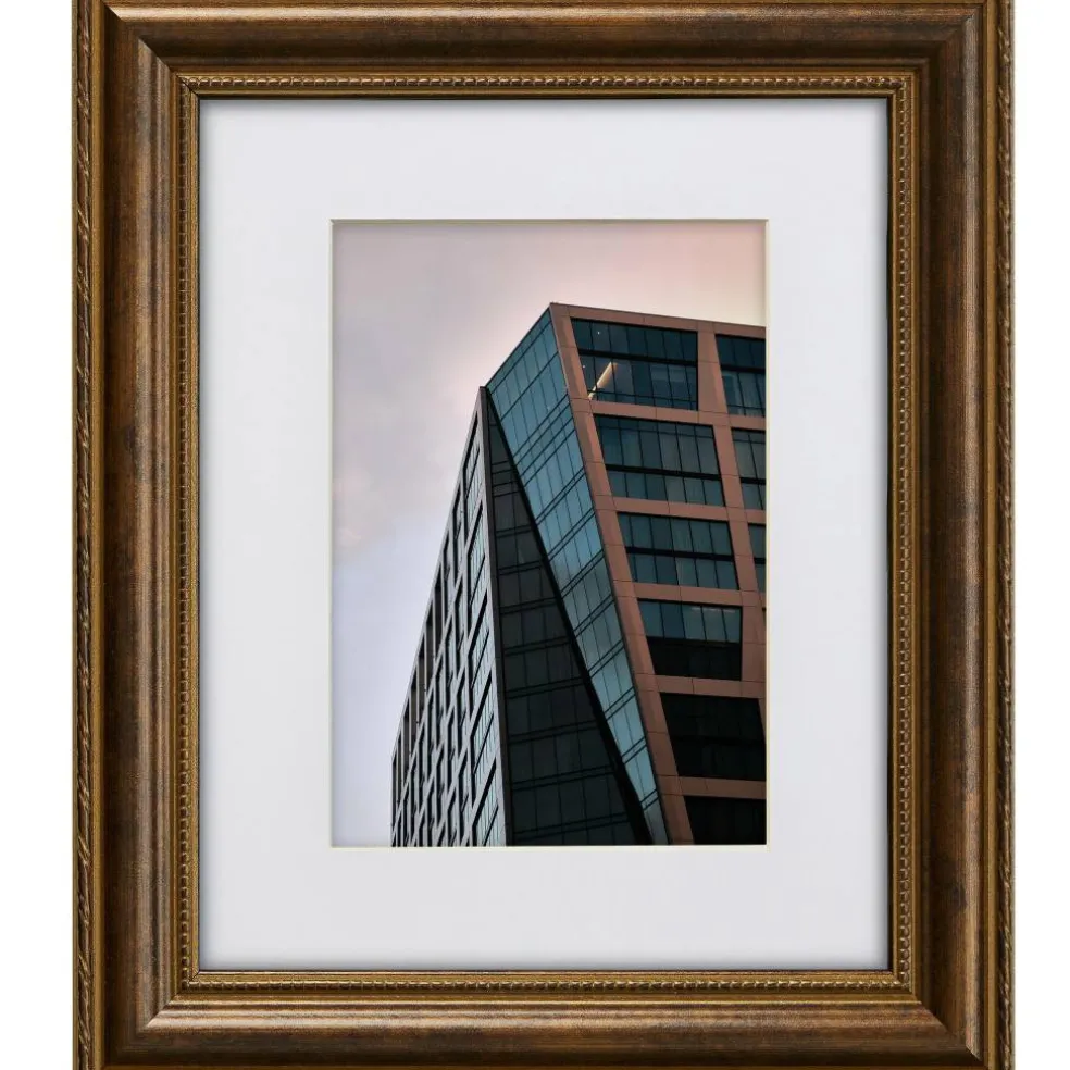 Craig Frames Victoria Ornate Bronze Picture Frame with Mat