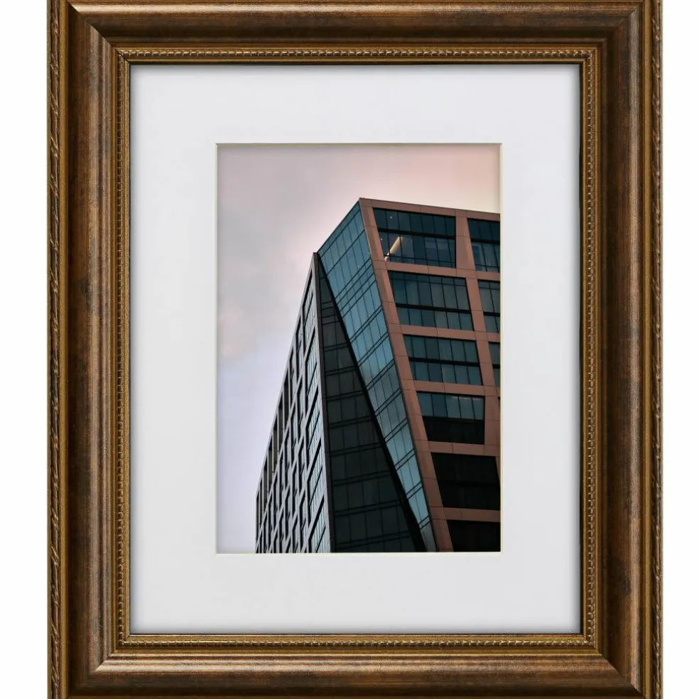 Craig Frames Victoria Ornate Bronze Picture Frame with Mat