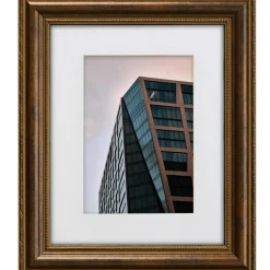 Craig Frames Victoria Ornate Bronze Picture Frame with Mat