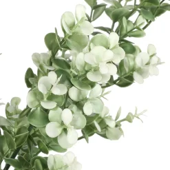 19" Cream Boxwood Bush by Ashland®