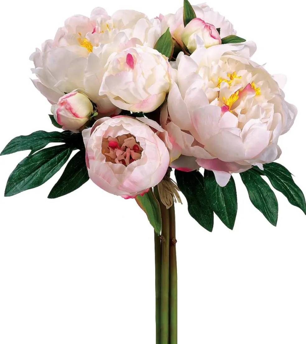 Cream & Cerise Peony Bouquet