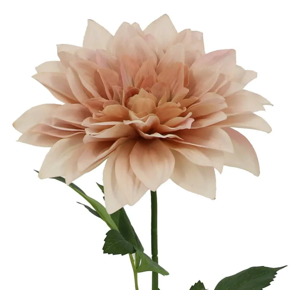 25" Cream Dahlia Real Touch Stem by Ashland®