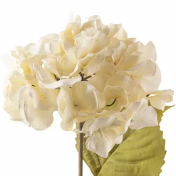 Cream Hydrangea Stem by Ashland®