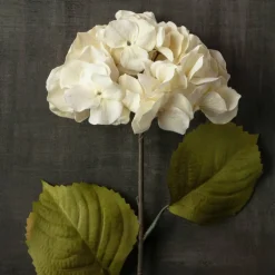 Cream Hydrangea Stem by Ashland®