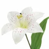 21" Cream Lily Bush by Ashland®