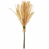 12" Cream Paddy Mini Bundle by Ashland®