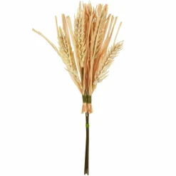 12" Cream Paddy Mini Bundle by Ashland®