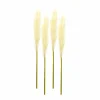 Cream Pampas Spray, 4ct.