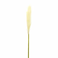 Cream Pampas Spray, 4ct.