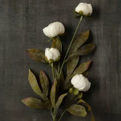 Cream Peony Stem by Ashland®