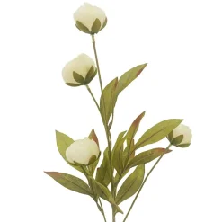 Cream Peony Stem by Ashland®