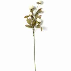 Cream Peony Stem by Ashland®