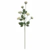 32" Cream Ranunculus with Leaves Stem by Ashland®