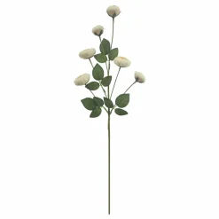 32" Cream Ranunculus with Leaves Stem by Ashland®