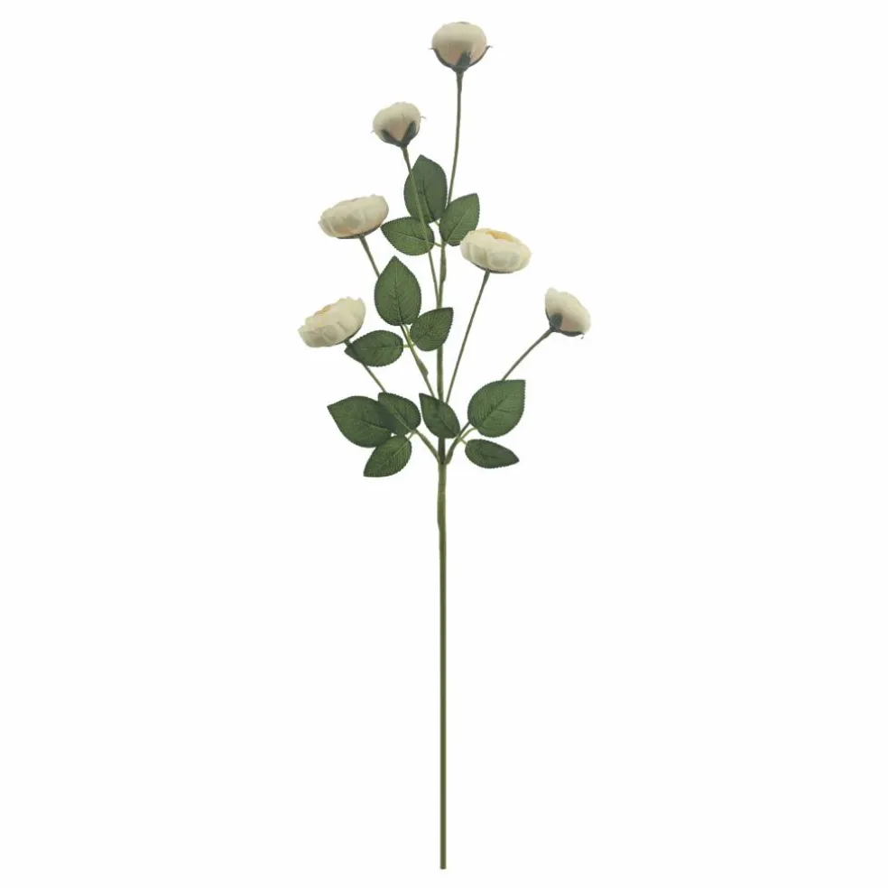 32" Cream Ranunculus with Leaves Stem by Ashland®