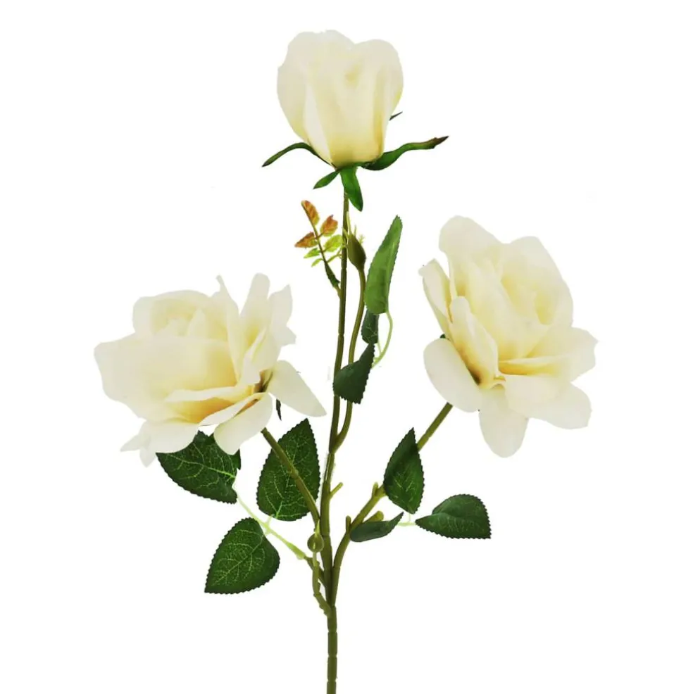 28" Cream Rose Real Touch Stem by Ashland®