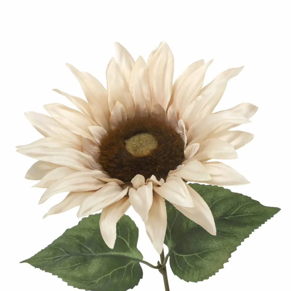 19" Cream Sunflower Bush by Ashland®