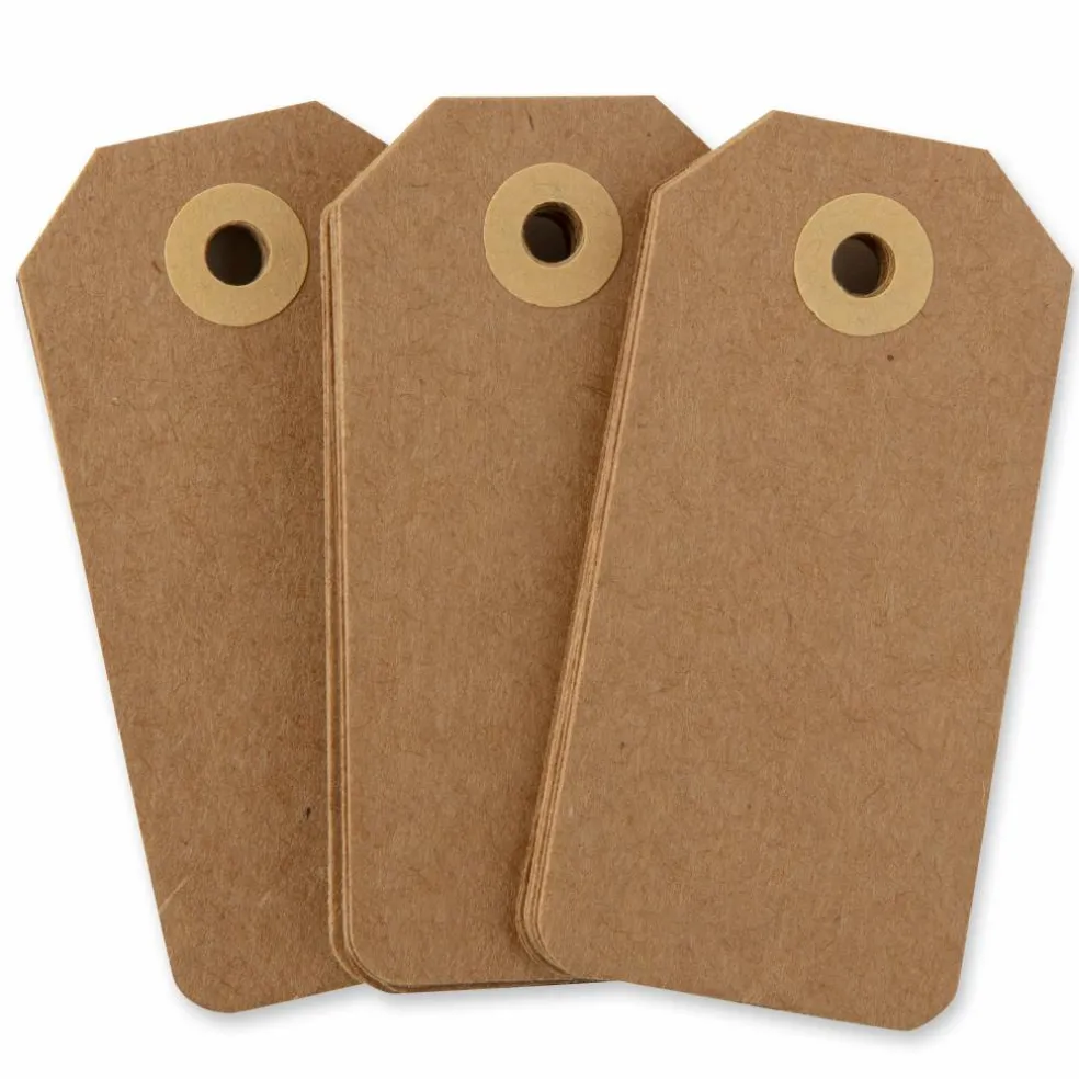 Creative Tags, Kraft, 20 Count By Recollections™