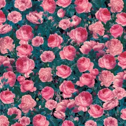 Cricut® Infusible Ink™ Transfer Sheet Patterns, Cabbage Rose