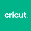 Cricut Joy™ A6 Foil Transfer Insert Cards, Royal Flush