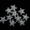 10ct. Clear LED Spun Glass Star Christmas String Lights