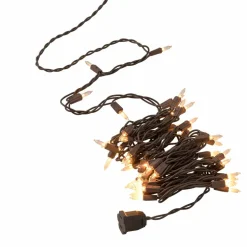 50ct. Creative Collection™ Shimmer Lights Grapevine by Ashland™