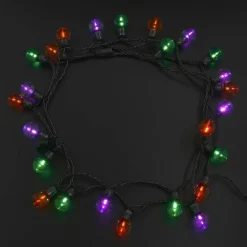 25ct. Multicolor Globe LED String Lights by Ashland®