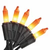 50ct. Orange Mini String Lights by Ashland®