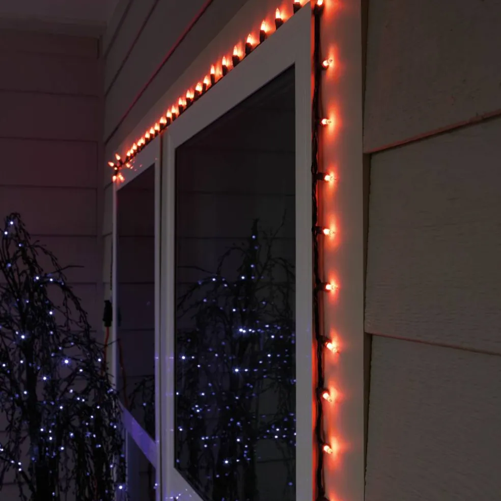 50ct. Orange Mini String Lights by Ashland®