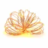 50ct. Warm White & Amber LED String Lights by Ashland®