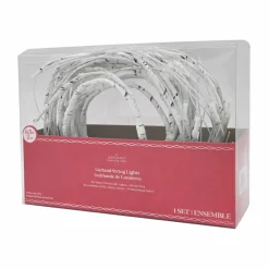 64ct. Warm White Led White Branch Garland String Lights by Ashland®