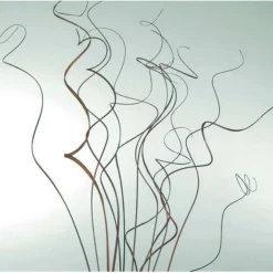 Curly Ting Stems, 10ct.