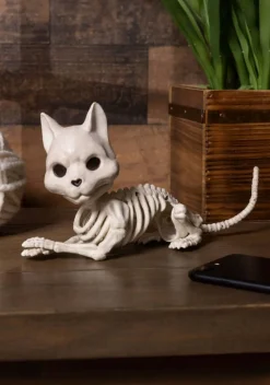 Cute Skeleton Cat Prop