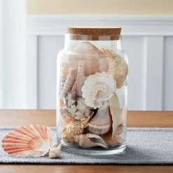 Cylindrical Terrarium Jar with Cork By Ashland®