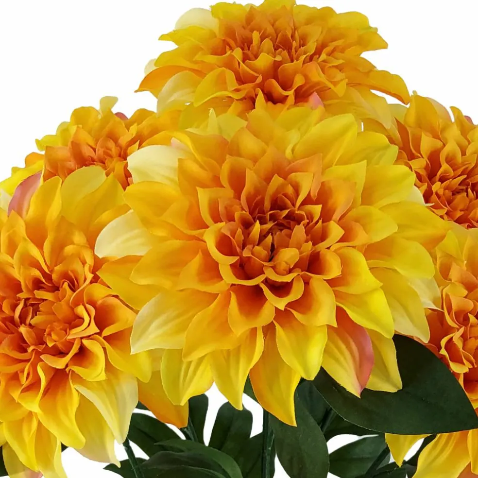 19" Dahlia Bush by Ashland®