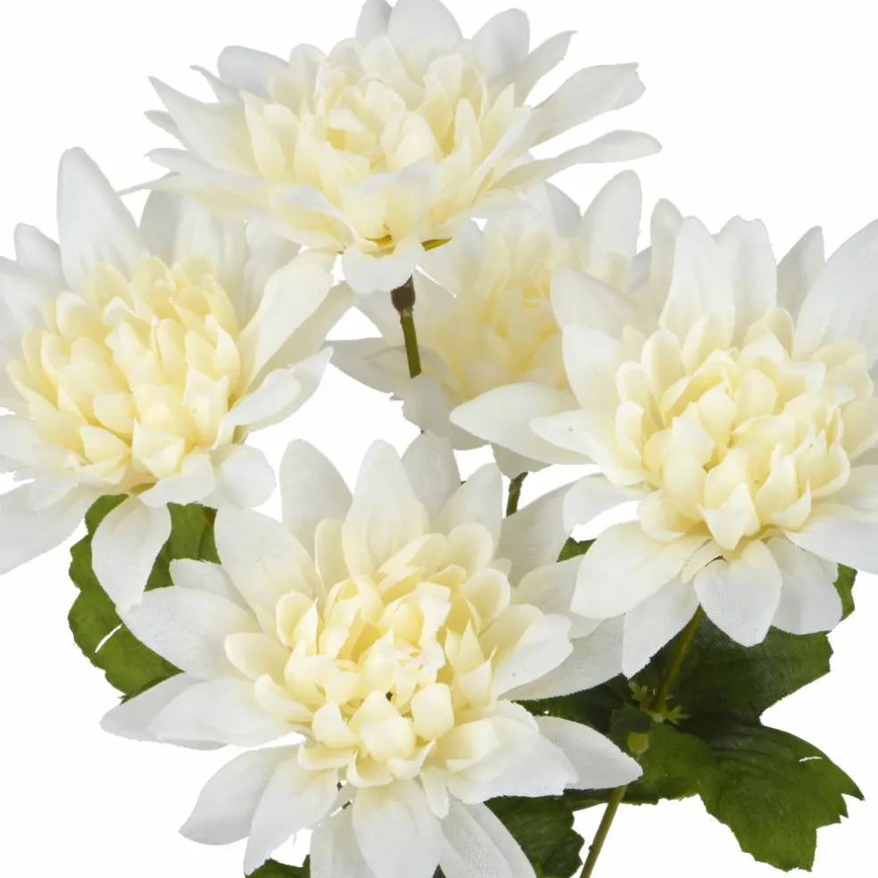 12" Dahlia Bush by Ashland®