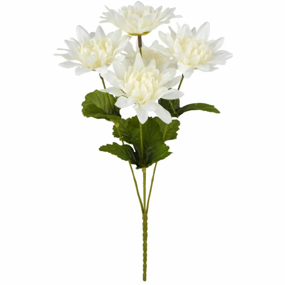 12" Dahlia Bush by Ashland®