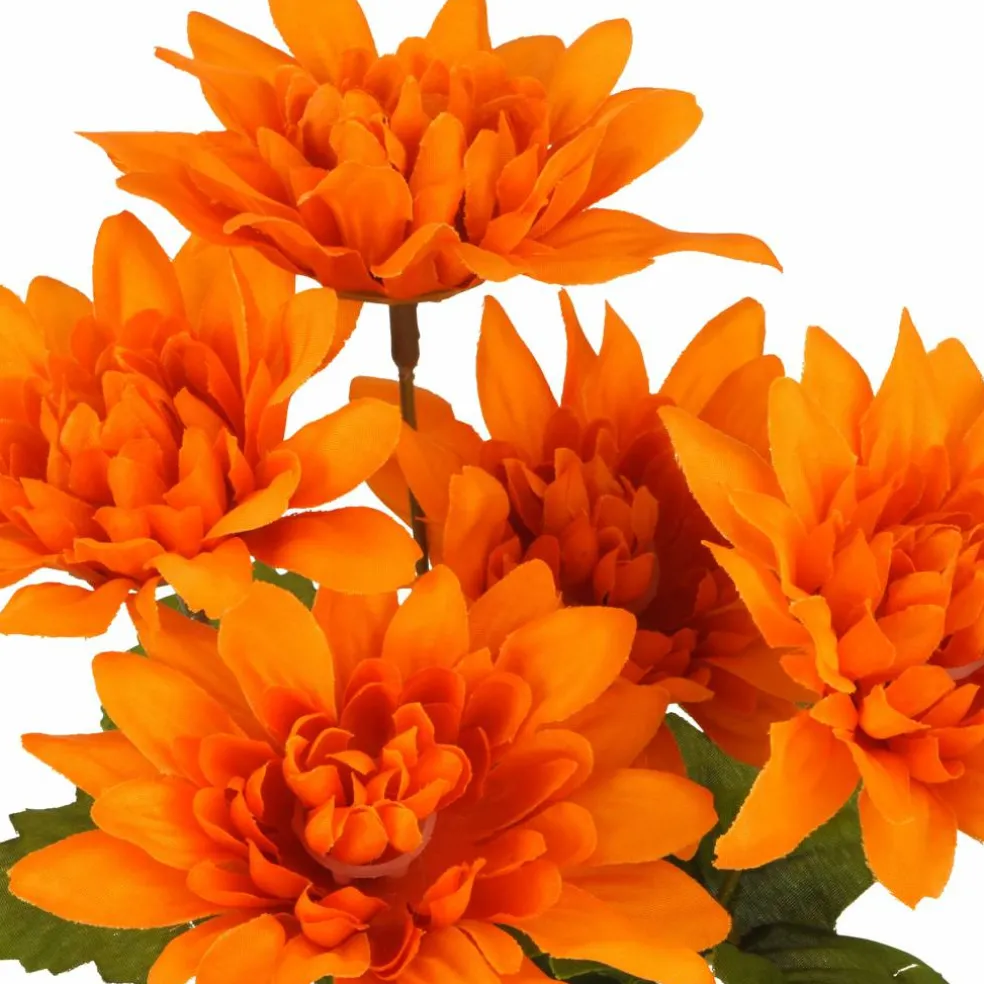 12" Dahlia Bush by Ashland®