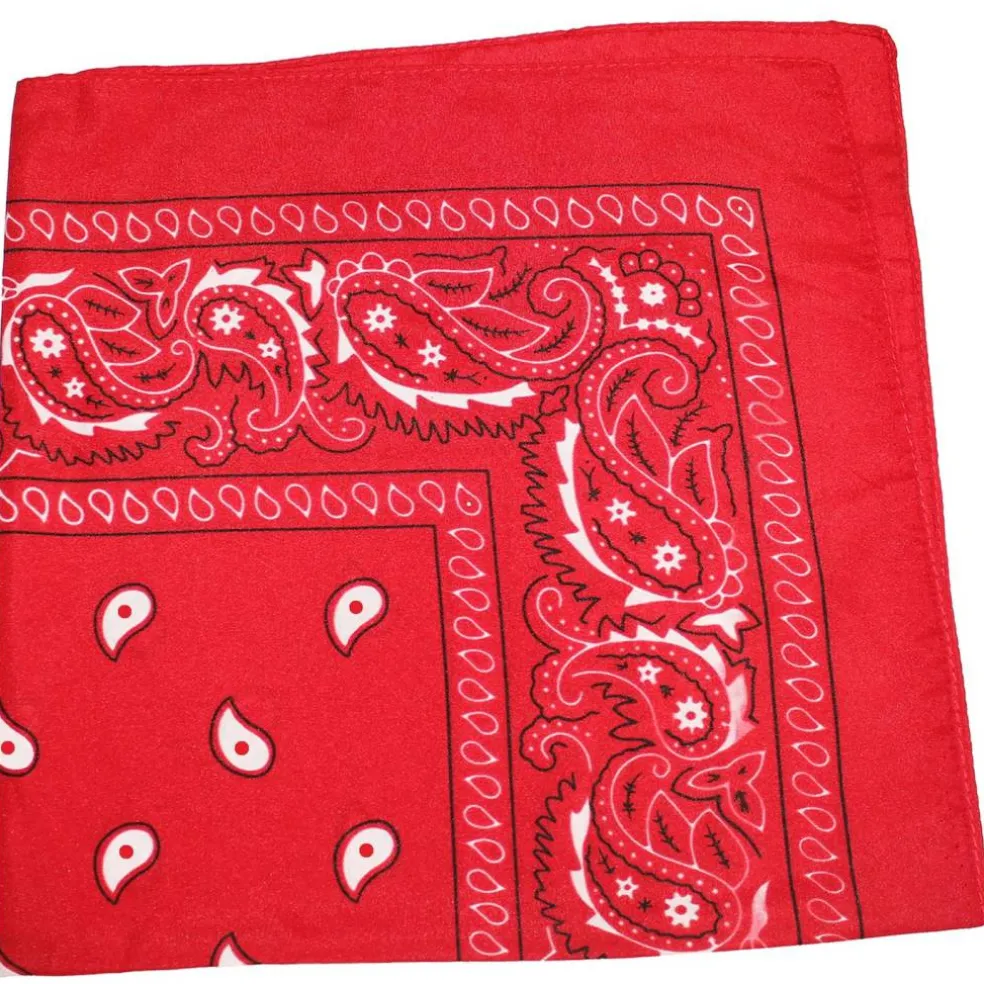 Daily Basic Bulk Lot Polyester XL Multi-Purpose Bandana - Paisley and Solid - Pack of 200