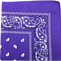 Daily Basic 100% Cotton X-Large Paisley Double Sided Printed Bandana