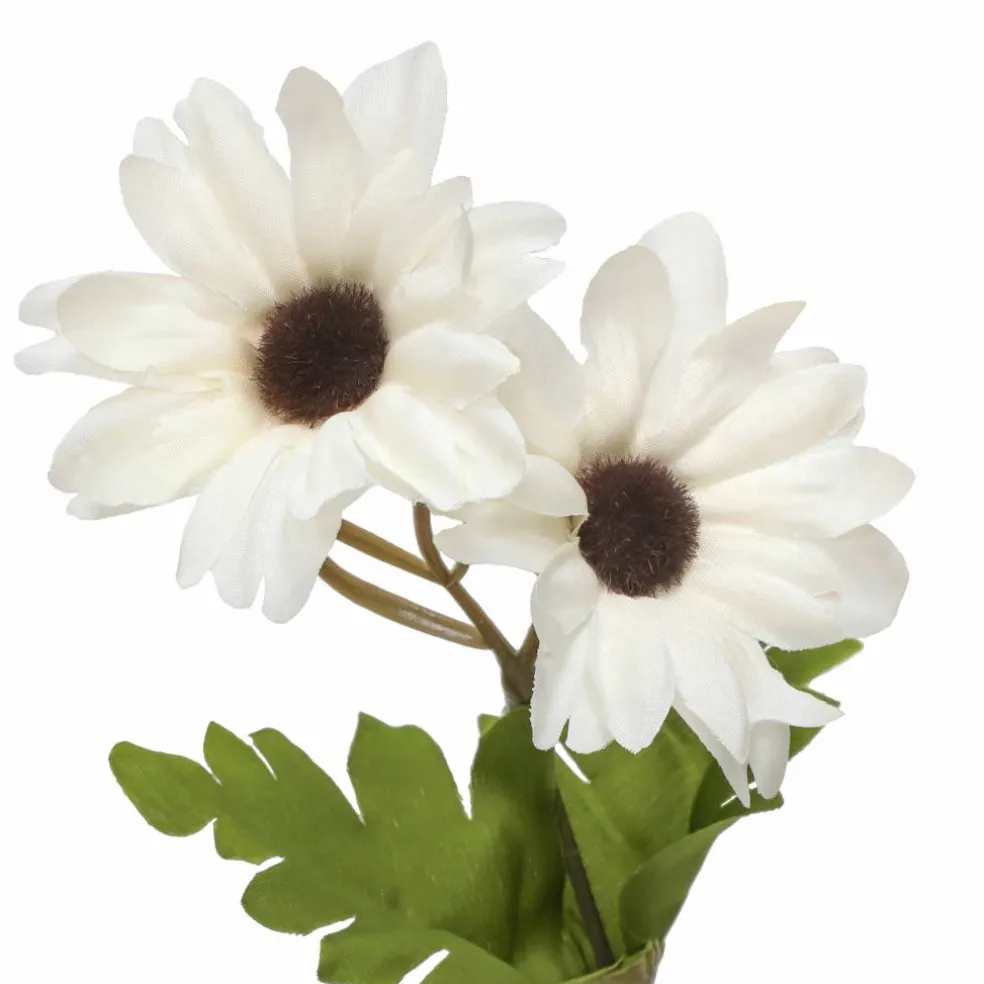 13" Daisy Bush by Ashland®