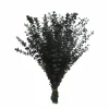 Dark Green Dried Eucalyptus Bundle by Ashland®