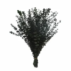 Dark Green Dried Eucalyptus Bundle by Ashland®