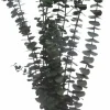 Dark Green Dried Eucalyptus Bundle by Ashland®
