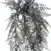 24" Dark Green Hanging Fern Bush by Ashland®