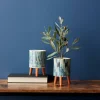 Decorative Pot Set with Terra Cotta Legs