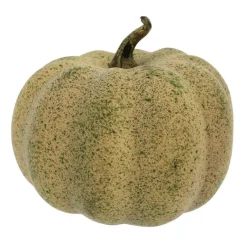 Decorative Pumpkins, 6ct. by Ashland®